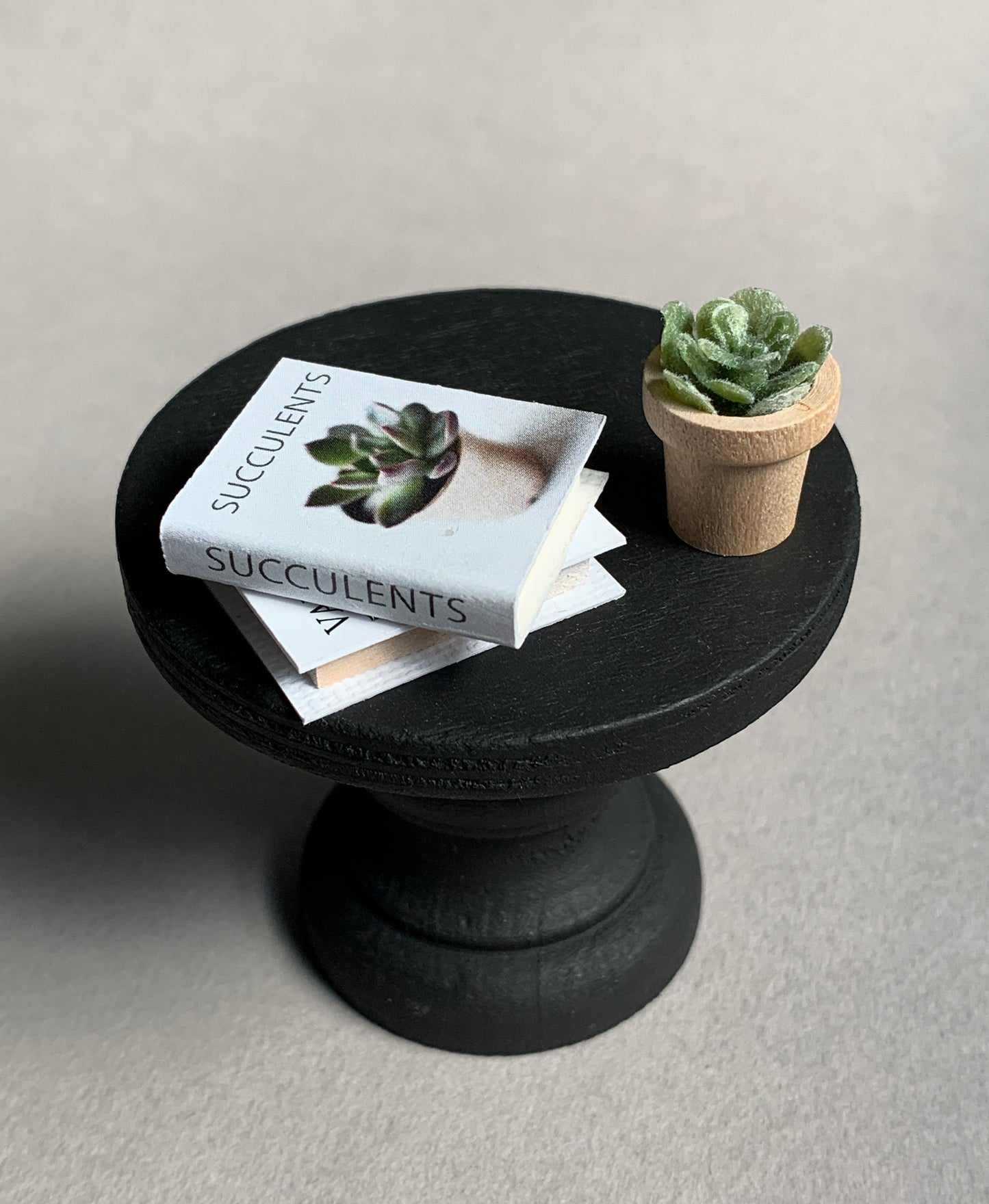 Modern Dollhouse Book on Succulents and Miniature Plant