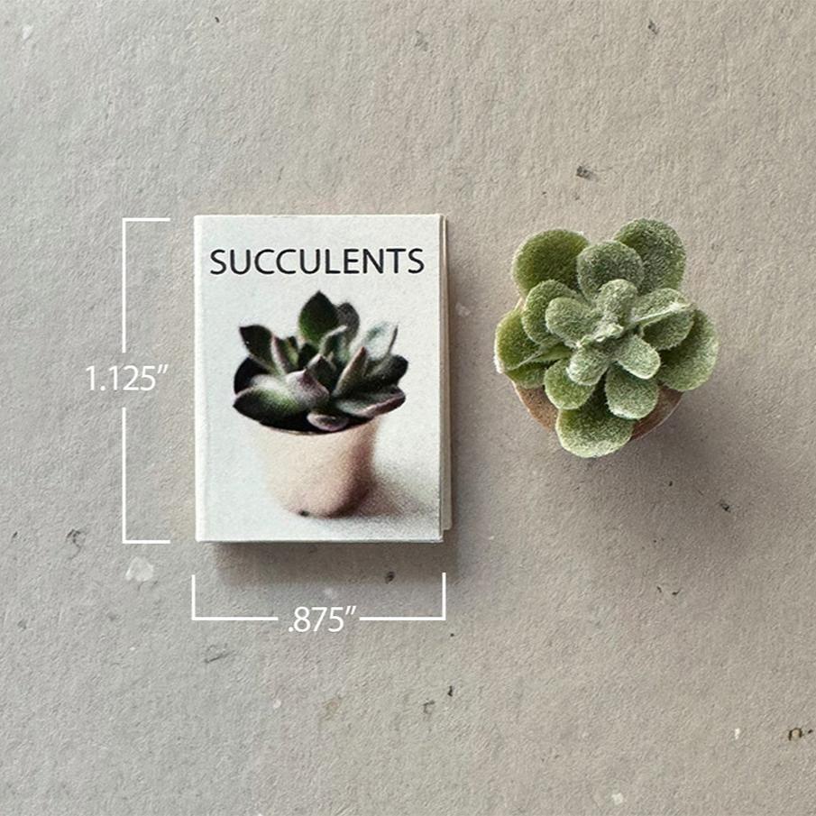 Modern Dollhouse Book on Succulents and Miniature Plant