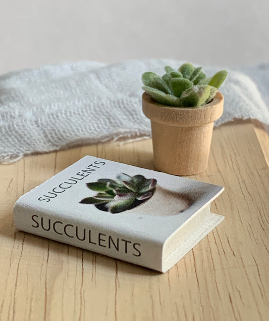 Modern Dollhouse Book on Succulents and Miniature Plant